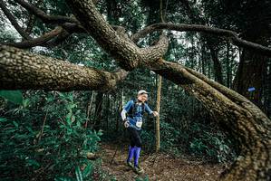 BIB: 
                            <button type="button" onclick="openModal(25705695)" class="btn btn-primary btn-sm float-right btn-popup" data-toggle="modal" data-target=".modal-high-quality">
                        <i class="fas fa-shopping-cart"></i> Add to Cart
                    </button>
                                            <button type="button" onclick="isThisMe(25705695, true)" class="btn btn-success btn-sm float-right btn-popup btn-isme hidden" data-toggle="tooltip" data-placement="bottom" title="นี่คือรูปของคุณใช่ไหม คลิกที่นี่เพื่อเอาเข้าอัลบั้ม">
                        <i class="fas fa-plus"></i> Add to album
                    </button>
                    <button type="button" onclick="isThisMe(25705695, false)" class="btn btn-warning btn-sm float-right btn-popup btn-isnotme hidden">
                        <i class="fas fa-ban"></i> Remove from album
                    </button>